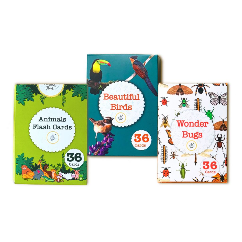 Nature's Combo Flash Cards